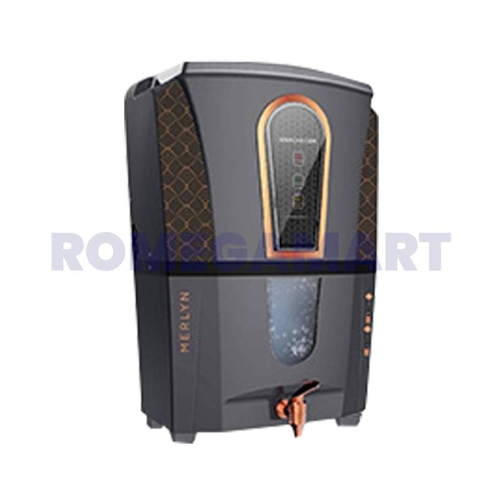 Aqua Silicon Prime Black Color Water Purifier For Domestic Use - Spectrum Electronics 