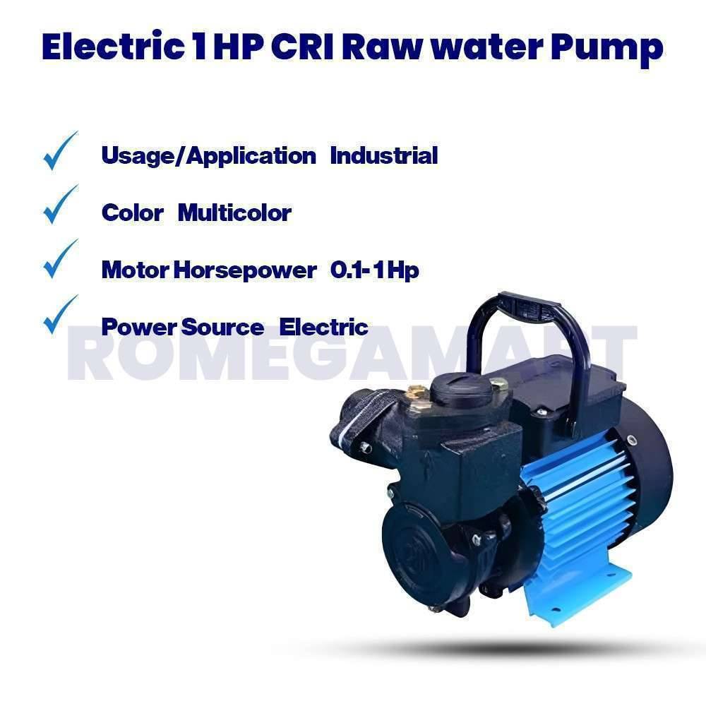 Electric 1 HP CRI Raw water Pump - NECSAL R