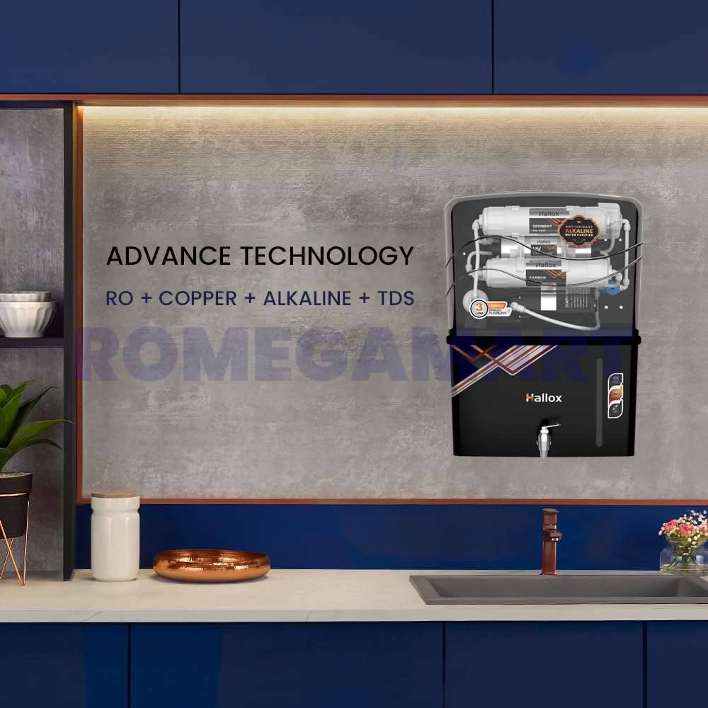 Hallox Black Transparent Body RO Water Purifier 12 Liter Storage For Domestic - JAZZ PURE WATER SOLUTIONS